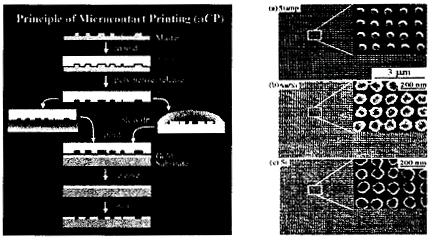 나. MicroContact Print < 그림 2-7> 에나타난바와같이 MicroContact Print(μ CP) 는기판위에잉크로인한분자자가조립이일어나도록 elastomeric stamp 를사용하는것이다. 4) Stamp는전자빔으로패턴된 master를이용하여 polydimethylsiloxane(pdms) 으로주조하거나경화시켜서얻을수있다.