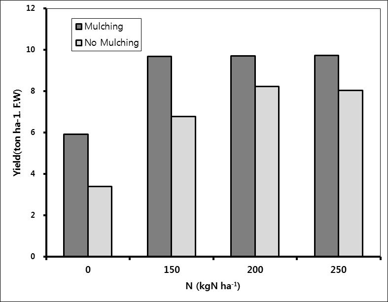 Effectiveness of Nitrogen fertilization and Plastic Mulching for Soil and