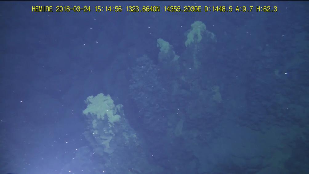 Explorations of Hydrothermal Vents in Southern Mariana Arc Submarine Volcanoes using ROV Hemire