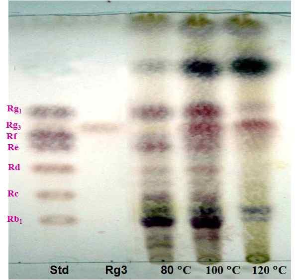 Figure 2-12. TLC analysis of ginsenosides extracted from 3 times steaming ginseng treated firstly with grape juice. (steaming time: 1 h) Figure 2-13.