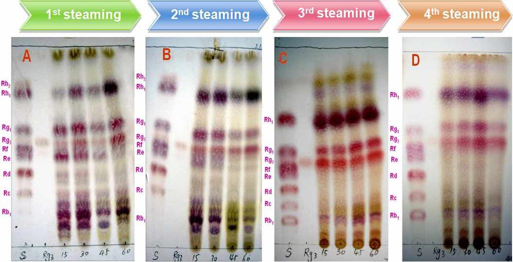 Figure 2-16. Thin layer chromatograms of total ginsenosides extracted from ginsengs steamed at 120 o C in various times (15, 30, 45, and 60 min).