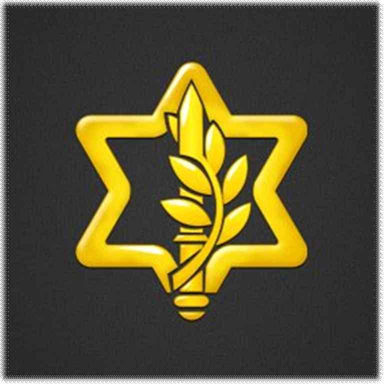 2. 이스라엘방위군 (IDF: Israel Defense Forces) 1948년창설된이스라엘방위군은건국이후현재까지중요한전쟁에서이스라엘을방어함. 방위군의당면목적은이스라엘의영토, 주권을방어하고, 모든적과모든형태의테러리즘을억제하는것임.