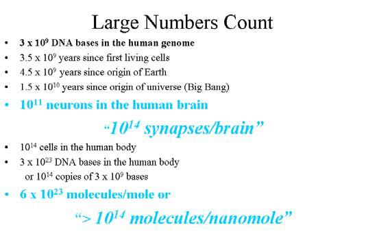 1 mole의 DNA 에는 6 x 10 23 개의분자가들어있으므로 1 micromole 의 DNA는 6 x 10 17 개의분자를가지고있다. 따라서 1 micromole 정도의분자를가진시험관을사용하여분자수준에서일어나는뇌의전체활동을시뮬레이션하는것이가능하다.