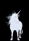 What s on the unicorn s head? The unicorn has a horn. Are unicorns real? No, they re not real.