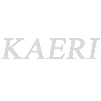 KAERI/CR-321/2008 내부피폭선량측정및평가