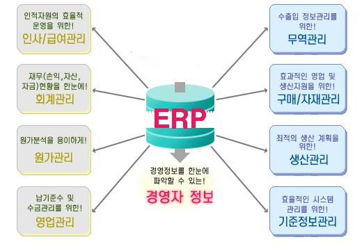 ERP 기능구성도 ( 예 : TOP)