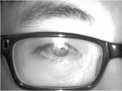 Empirical Study on Iris Recognition in a
