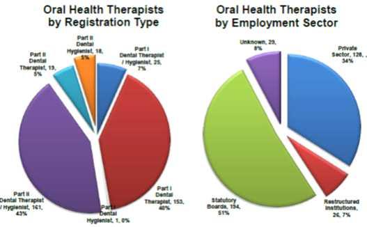 [ 그림 22] Oral Health Therapists by Registration Type or Employment Sector 34% 의치위생사는개인사업을추구, 51% 는공공부문에서일한다. 나머지는취업상태나 취업장소를갱신하지않았다. 2.7 