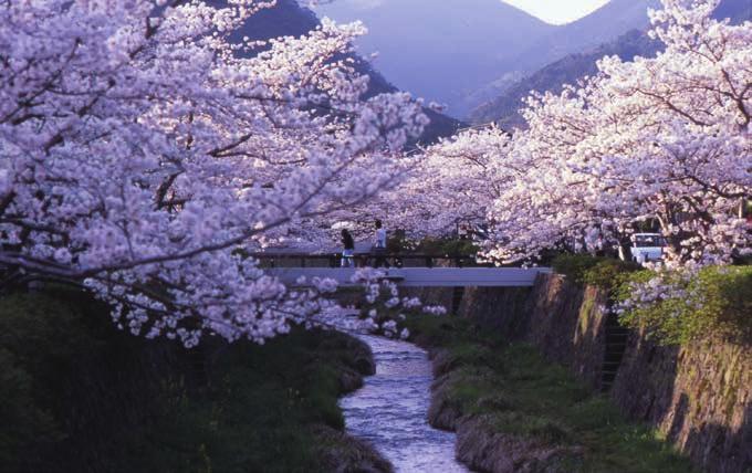 사시사철 아름다운 야마구치현 감동 명소 모델 관광 코스에는 없는 야마구치의 계절별 관광 명소를 소개합니다.