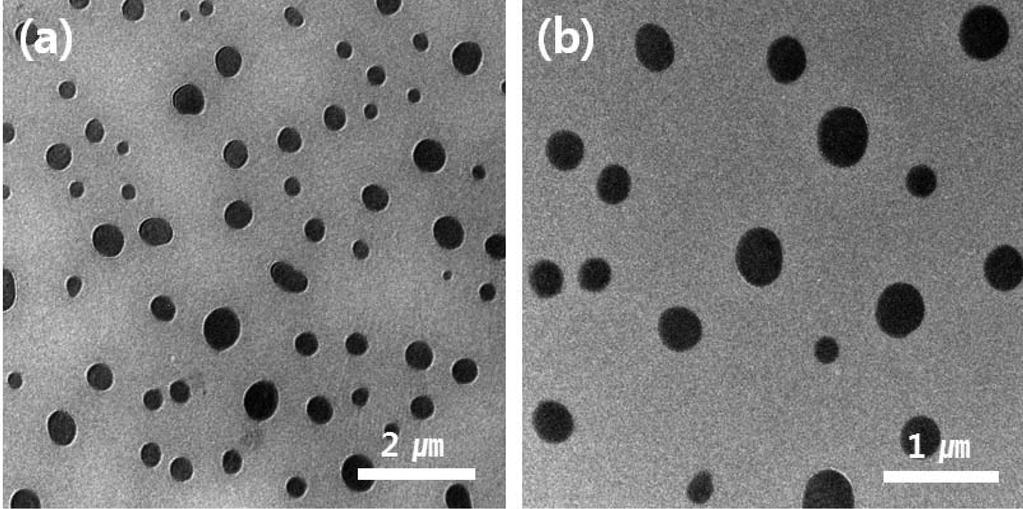 지상수 이종현 Fig. 3. TEM images of the 2SnO (H2O) powders synthesized by using high-molecular-weight PVP(1,300,000) at low viscosity: (a) low magnification and (b) high magnification.
