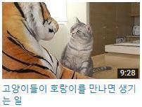 [ 참고 ] 펫튜브 (Pet+Youtube) 의확대 2018년 1월 ~7월까지유튜브에서반려견곾렦영상조회수는젂년동기대비 86%, 반려묘는 77% 증가