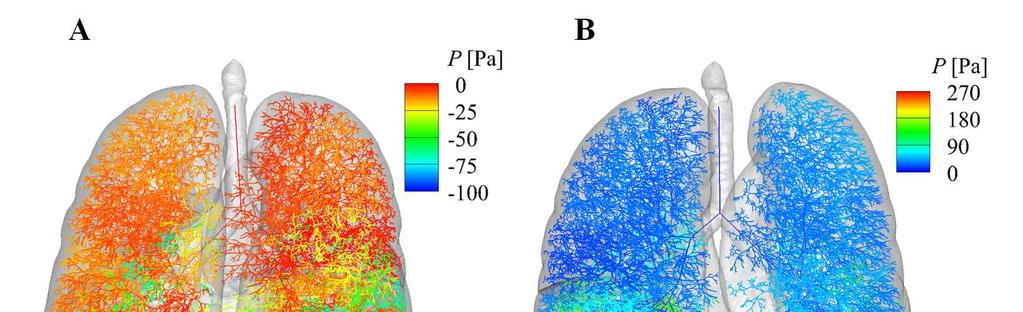 of 1D CFD model (model B) between healthy subjects and 1 1 CFD 4-D CT.. 2018 () (NRF-2017R1D1A1B03034157) Fig.