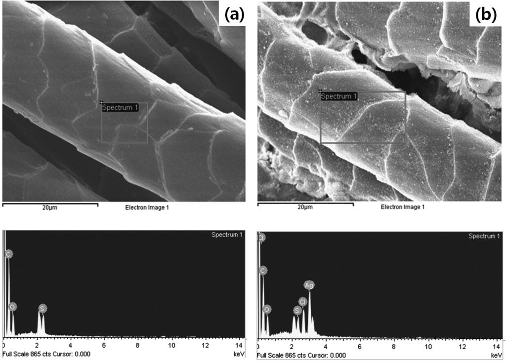 Glycidyltrimethylammonium Chloride(GTAC) 를이용한양모섬유표면의 Silver Nanoparticle 부착 73 Figure 4.