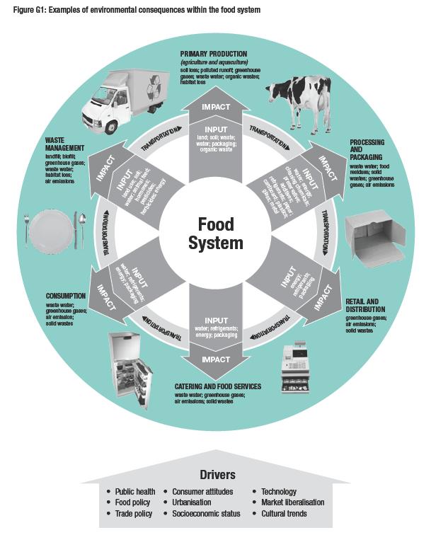 제 3 장외국의식생활지침제 개정동향 121 [ 그림 3-11] 호주식생활지침개발에서고려한식품 (food) 시스템을주는요인들