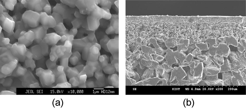 다층 기공구조를 갖는 다공성 반응소결 탄화규소 다공체 제조 Fig. 7. 538 SEM micrstructure f filter layer fabricated by in-situ Si melt infiltratin prcess (a)surface, (b)crss-sectin.