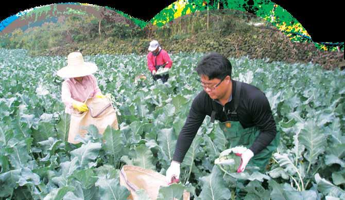 4 농수축산 농업현황 농업인 ( 가구 ) 수 : 114,062 명 (38,497 가구 ) 2011. 12.