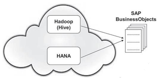 Big Data Platform SAP SAP BusinessObjects 클라우드상의 Hadoop 과 HANA