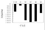 B. bifidum. ELISPOT A- 1 assay (Fig.18). A- 2 MLN B cell, IgA B. bifidum B. bifidum cell B. bifidum 7. MLN B cell IgG B. bifidum B.bifidum cell,.
