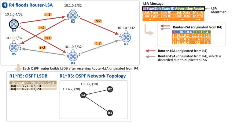 OSPF 토폴로지 (5) R4 가자신의링크정보를다른 OSPF 라우터들로전파 이를수신한 R2, R3