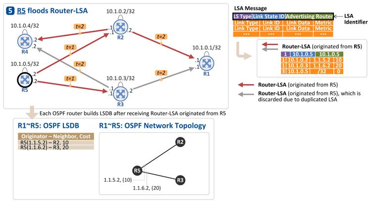 OSPF 토폴로지 (6) R5 가자신의링크정보를다른 OSPF 라우터들로전파 이를수신한 R2, R3