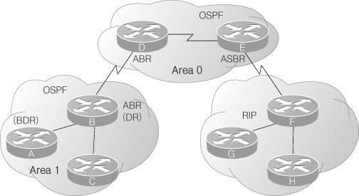 OSPF -40-