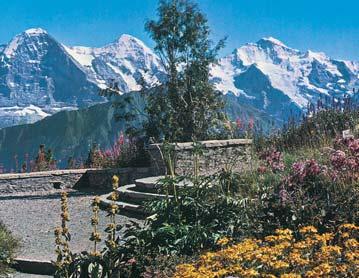 MOUNTAIN Botanical Alpine Garden Alphorn