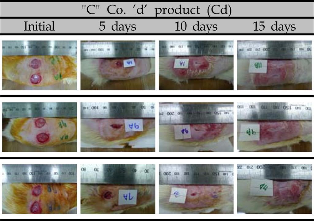 합성고무와 카르복시메틸셀룰로오스(CMC) 나트륨을 이용한 하이드로콜로이드형 창상치료재의 제조 및 평가 107 Table 3.