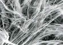 석면을현미경으로관찰해보면섬유가닥처럼보인다. 석면섬유가닥은머리카락의약 1/5,000 정도로매우가늘다.