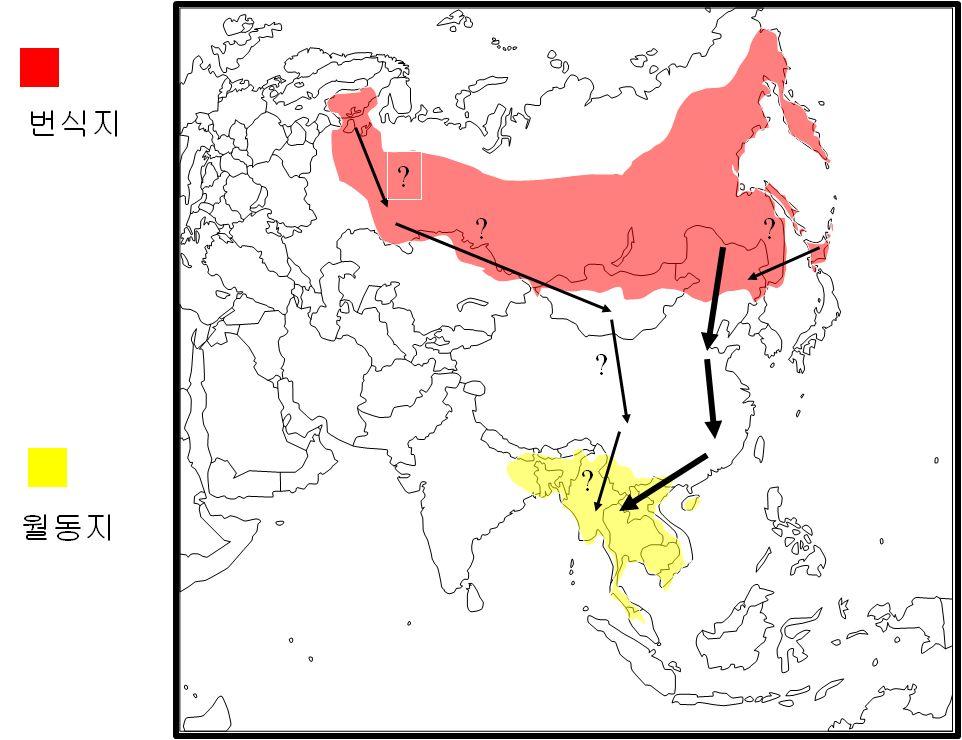 육상 ( 철새 ) 조류보호정책방안연구 그림 6-4. 동아시아에서의검은머리촉새의이동경로추정(BirdLife Internationl.