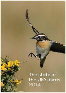 Nature Conservation Coittee), 왕립조류보호협회 (Royal Society for the Protection of Birds) 가협력하여영국내번식조류의개체군변화를모니 터링하고이를보전활동에적용하기위한제도.
