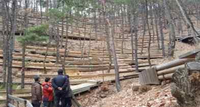 ( 교육 기술지도 ) 올바른수목장림조성 운영교육프로그램시행 수목장림조성 운영 관리방안컨설팅 수목