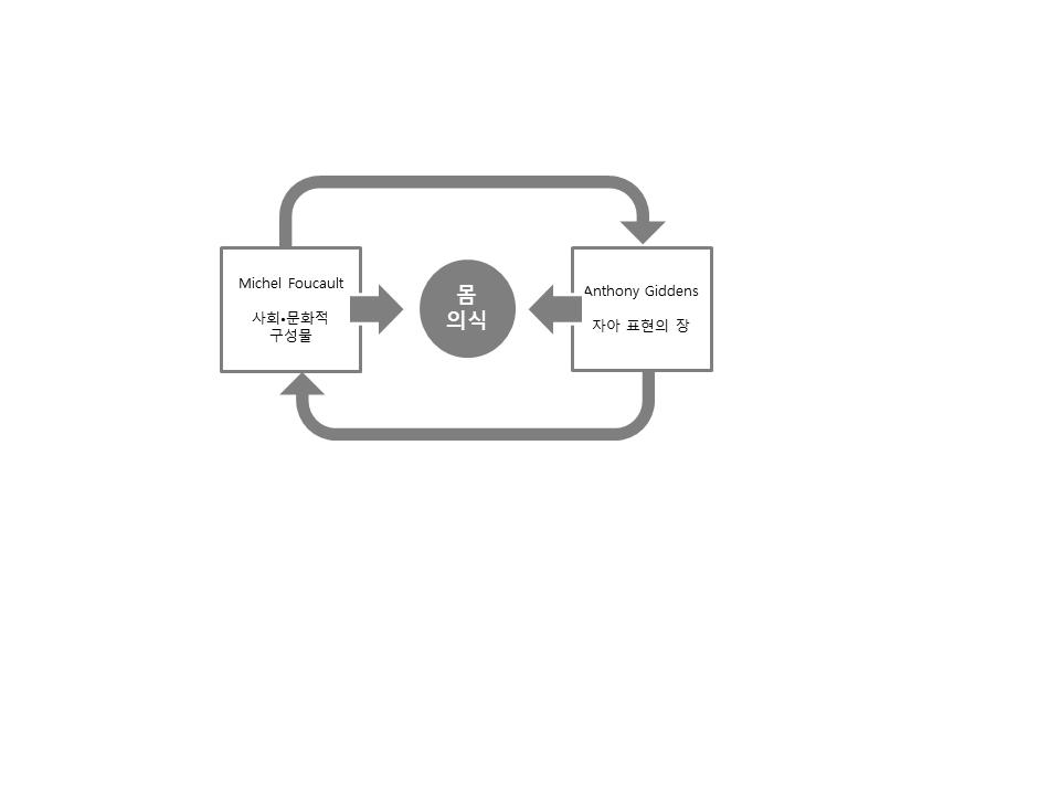 [ 표 2-1] Michel Foucault 와 Anthony Giddens 의몸에대한시각 Michel Foucault Anthony Giddens 분류사회 문화개인사회 문화개인능동적으로스스로선택하고사회적의미를자유적실천이개인화할수개발할수있는실천하는몸제한된몸있는몸몸 몸에각인되 사회관계망의 개인이구조 자기정체성의 는규율의작 가치추구하며 와행위의문 가시적인