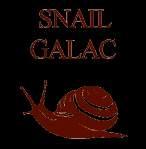 ディオプラス スネイルガラクリバイタルトナー Snail Secretion Filtrate + Galactomyces 커버 메이크업 디오프러스 스네일 갈락