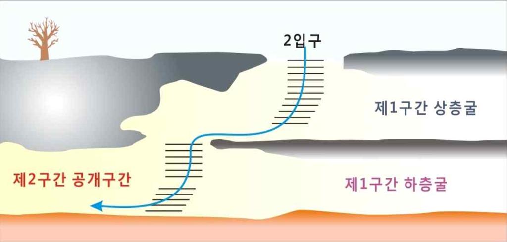 용암동굴이일반적으로생성되는과정은다음과같다. 용암이지표로흘러나올때의온도는일반적으로 1,000~1,500 이며, 이렇게높은온도의용암이지표면을덮을경우공기중에노출된표면은대기와온도차에의해쉽게식어굳는다. 그러나내부의용암은식는속도가늦어표면이굳은이후에도지반이낮은곳으로계속흘러내려가게된다. 이때용암이흘러가면서생긴빈자국이바로용암동굴인것이다.