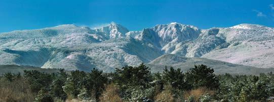 97 관음사에서본한라산 한라산등반의최고봉관음사등산로 15 년만에다시열린한라산의문돈내코등산로 총 8.7 km 5시간소요해발 620m 관음사안내소 - 3.2km 지점탐라계곡 - 4.9km 지점개미등 - 6km 삼각봉대피소 - 8.