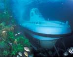 www.citrusmuseum.com OPEN. 09:00~18:00 (7~9월 1시간연장 ) 서귀포잠수함 깊고푸른바닷속탐험서귀포잠수함 지아호, 마리아호 에타면잠수시작.