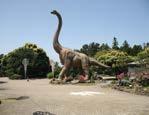 173 제주공룡랜드 아이들을위한시간여행국내최대규모의공룡테마파크로공룡화석을비롯해신비함으로가득한해양생물들의흔적도찾아볼수있다.