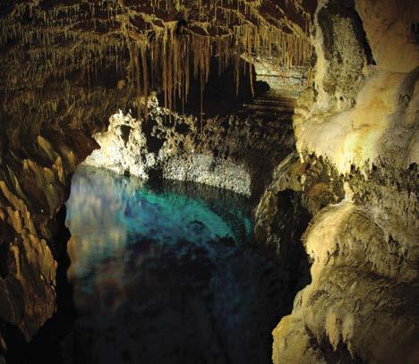 JEJU 01. 푸른땅제주 02. 줄지어선아홉개의용암동굴, 거문오름용암동굴계 유산명칭거문오름용암동굴계 Geomunoreum Lava Tube System 유산면적 22,367 km2 ( 핵심지역 3.303 km2, 완충지역 19.