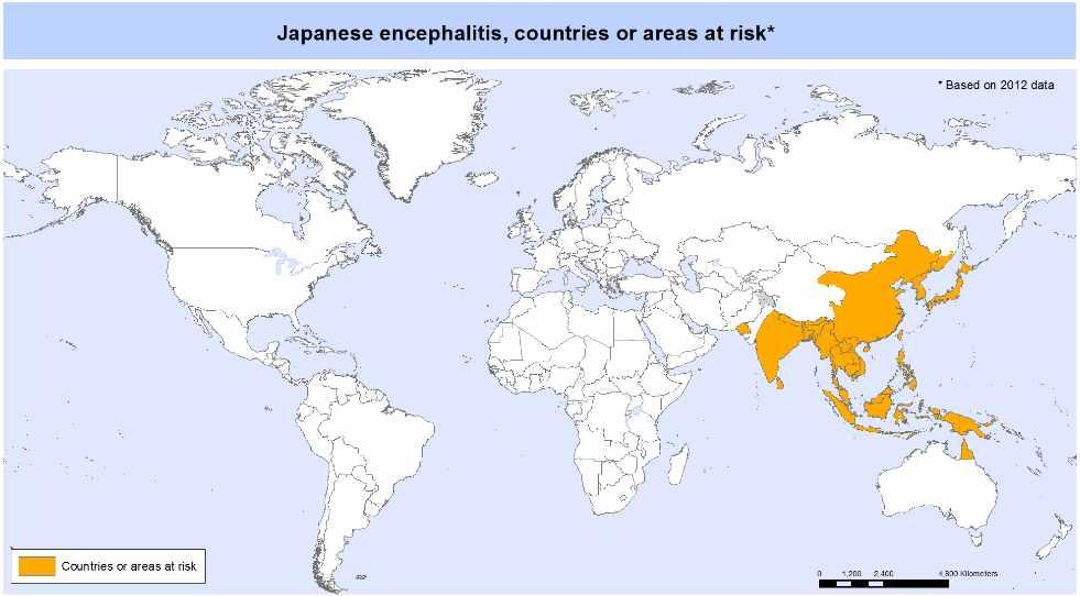 에서도 명이사망하였다 일본뇌염은아시아의많은국가에서바이러스성뇌염의주요원인이며 해마다약 건의임상건수가보고되고있으며 전세계적으로 세이하의연령에서연간 만명의환자가발생하고 감염이되어증상을나타낼경우 에서사망하고생존자의 이상에서신경계합병증을남긴다 동남아시아와서태평양지역의 개국에서풍토병화되어발생하고있으며 억이상의인구가감염에노출되고있다 그림