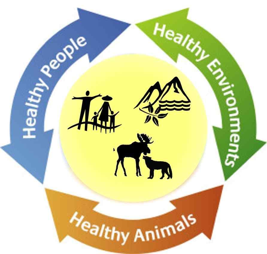 그림 102. One Health 개념을적용시킨모식도 이러한개념하에, 1990년대이후부터 One Health 개념은점차정부조직, 비정부조직들이함께관여하며, 인간, 동물, 야생동물그리고환경까지포함하는개념으로그의미가넓혀져왔다. 즉, 사람의건강은동물, 환경이같이건강할때 (One Health) 이루어질수있다는개념이다.