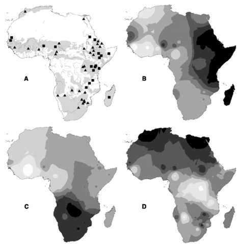 그림 105. (A) Cattle distribution on the continent of Africa (gray shaded area) and locations of cattle populations sampled.