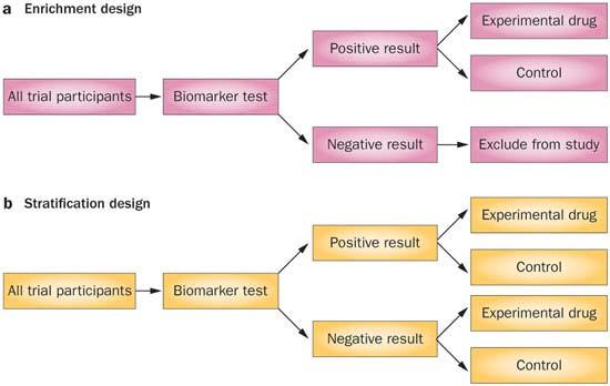 Phase II Study with Biomarker