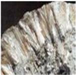 석면광물중가장독성이강함 각섬석군 Amphibole 안소필라이트
