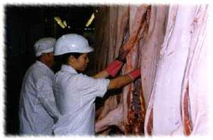 INTERVIEW - 홍콩식품환경위생서에서인증한신청기관에서받아야해당육류에 대한보증을할수있음 소고기를홍콩으로수출하려면,