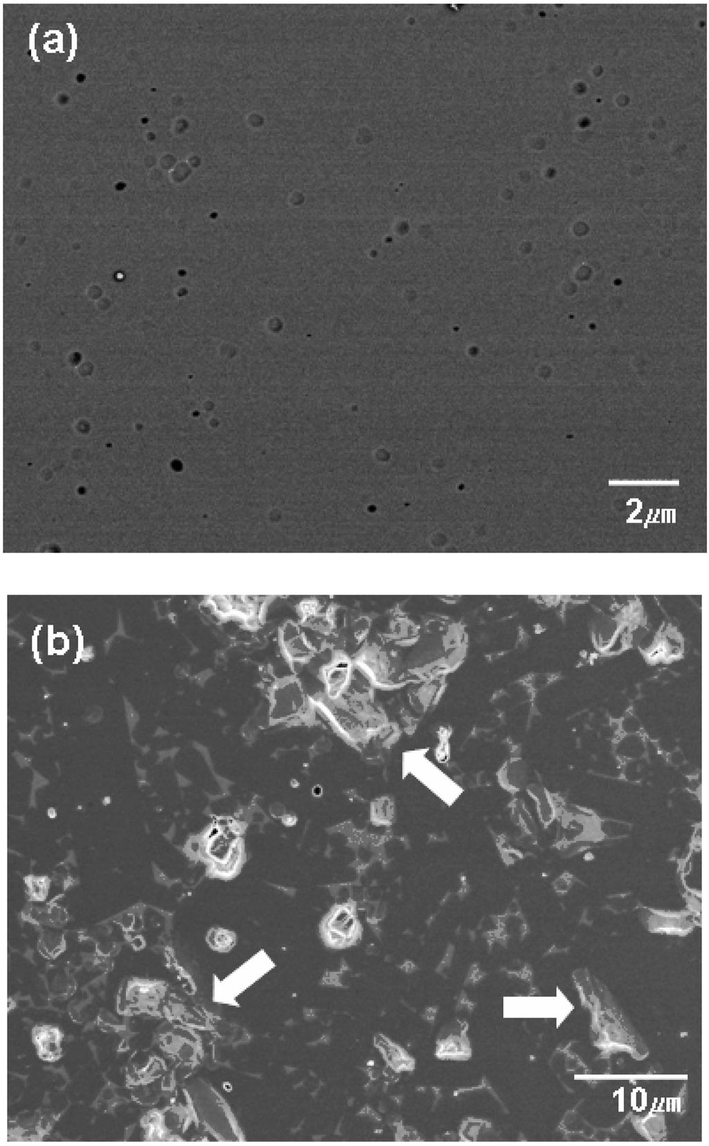불소계 플라즈마에 노출된 Al O 의 미세구조 변화 Fig.. Surface micrstructures f the Al O specimens after plasma expsure fr 4 min : (a) high purity (99.99%) and (b) lw purity (95%) Al O. Fig. 4. 미나의 유리질 입계상들이 결정화 되어 1 µm 전후의 이 차상으로 입계에 존재하고 있었다.
