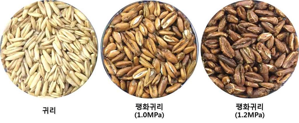 4배 증가 국내산 귀리 가공처리에 의한 AVN 등 기능성 증진기술 개발 - 귀리 항산화 활성 증진 볶음 조건: 250,