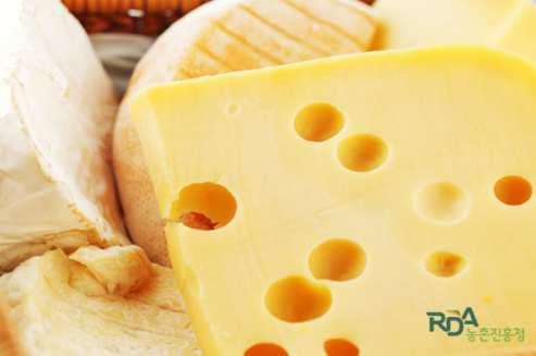 치즈의정의 우유, 산양유또는기타포유류의젖을응고시켜만든고체음식 제조방법이나원재료의특성에따라천가지가넘는치즈의종류가있다. 일반적으로우유를 10kg 사용하면 1kg의치즈를만들수있다. 원료유로부터치즈를만들기까지오랜시간과정성이필요하기때문에매우영양가치가높고귀중한식품이라고할수있다.