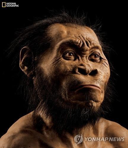 3-1-1. Cont. 호모나레디 (Homo naledi) 남아공동굴서발굴 영장류-인류연결하는 ' 잃어버린고리 '?