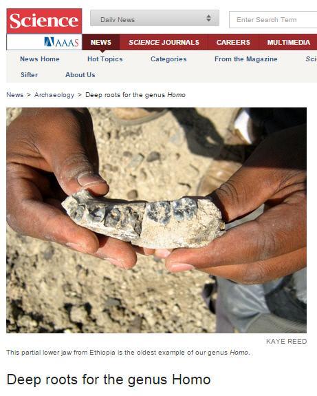 3-1-1. Cont. Homo 속직접적조상화석발견 (280 만년전 ) 미국애리조나주립대연구팀은에티오피아에서 2 년전발견된, 5 개의치아가남아있는인간의턱뼈화석을분석한결과지금까지발견된인류화석중가장이른 280 만년전의것이라고 2015 년 3 월 4 일 ( 현지시간 ) 밝혔다. 이연구결과는과학전문지사이언스온라인판에게재됐다.