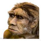 their larger bodies. Neanderthals had larger eyes than Homo sapiens but did not develop brain power in the same way.
